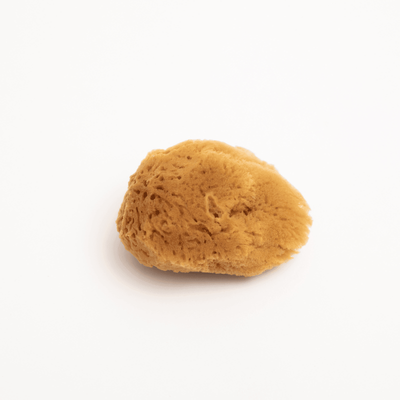 Esponja de mar natural®, Mimos - KIDSCLUB Tienda ONLINE