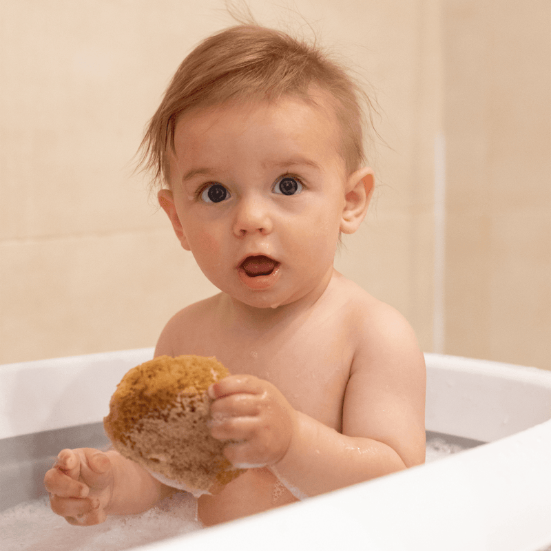 Esponja de mar natural®, Mimos - KIDSCLUB Tienda ONLINE